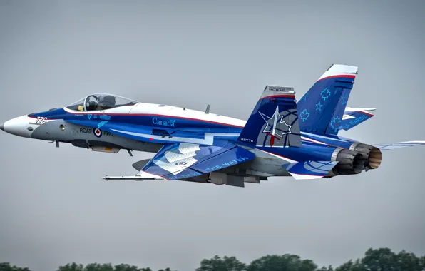 McDonnell Douglas, CF-188 Hornet, McDonnell Douglas CF-188 Hornet