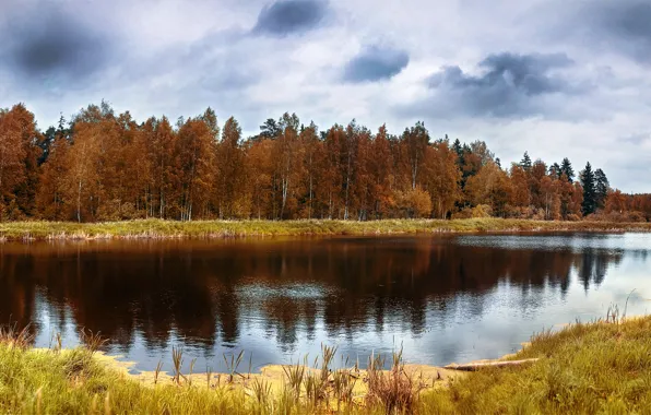 Картинка осень, лес, отражения, деревья, озеро, Природа, forest, trees