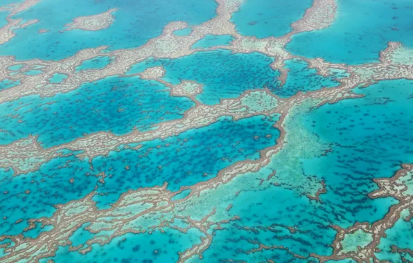 Картинка вода, текстура, карибское море, баръерный риф