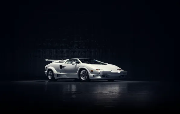 Картинка Lamborghini, white, Countach, 1989, Lamborghini Countach 25th Anniversary, iconic