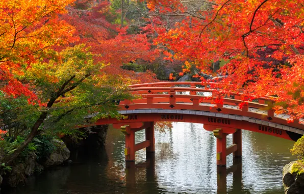 Осень, деревья, мост, пруд, парк, камни, Япония, Kyoto