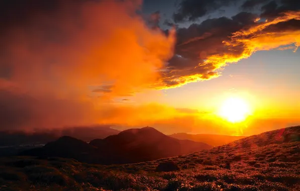 Пейзаж, закат, природа