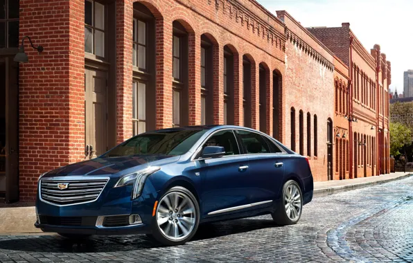 Car, Cadillac, Cadillac XTS