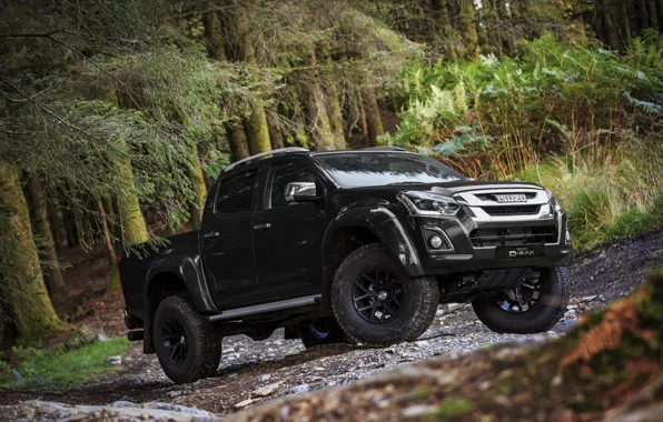 Картинка лес, чёрный, пикап, Isuzu, 2017, Arctic Trucks, D-Max, UK version