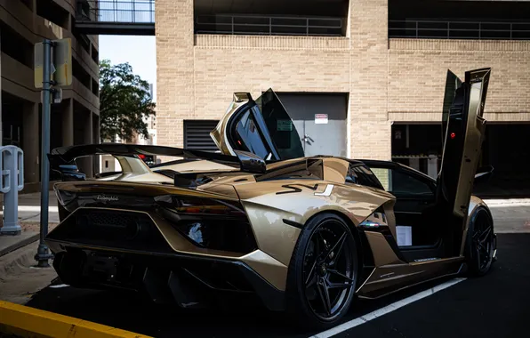 Картинка Lamborghini, спортивная машина, Lamborghini Aventador SVJ Roadster