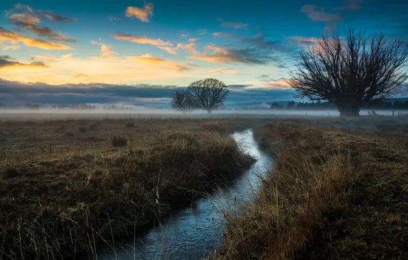 Картинка поле, небо, облака, деревья, туман, ручей, зарево