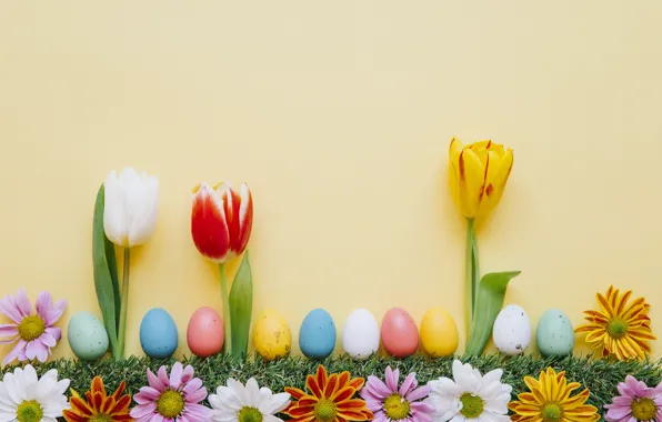 Картинка цветы, весна, colorful, Пасха, тюльпаны, хризантемы, flowers, tulips