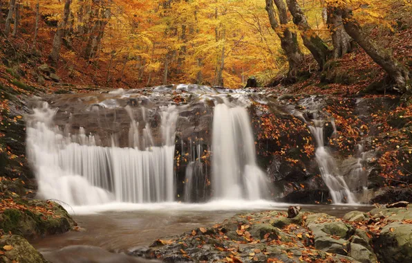 Картинка осень, лес, листья, деревья, ручей, камни, водопад, мох