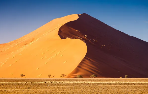 Sands, sun, heat, dune, Desert, arabian