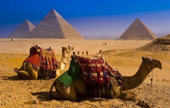 Картинка пустыня, пирамиды, Верблюды