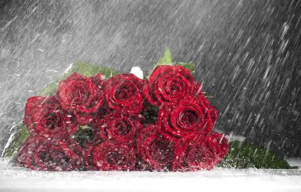 Картинка вода, капли, дождь, розы, букет, красные
