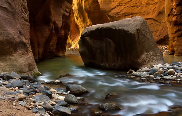 Картинка река, камни, скалы, каньон, ущелье, Zion National Park, сша, юта