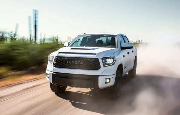 Toyota, пикап, TRD, Tundra, Pro, 2019, CrewMax