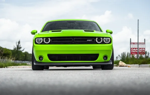 Dodge, Challenger, Front, Yellow, Face, Sight
