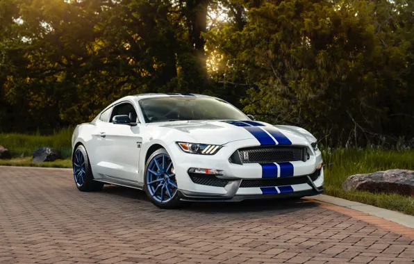 Дорога, машина, белый, фары, mustang, спорткар, ford, вид сбоку