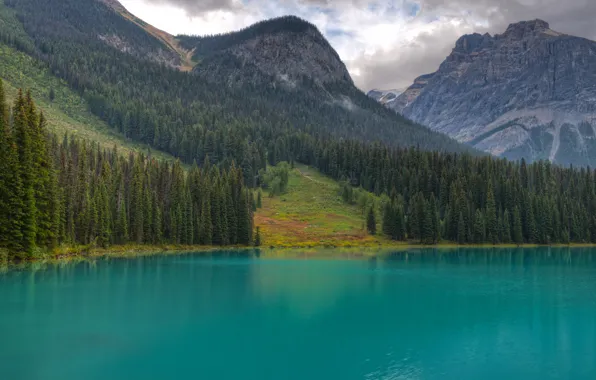 Картинка лес, деревья, горы, озеро, елки, Canada, British Columbia, Yoho National Park