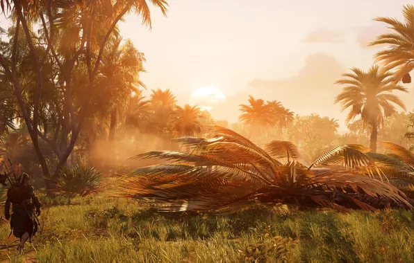 Фон, игра, Assassin's Creed Origins