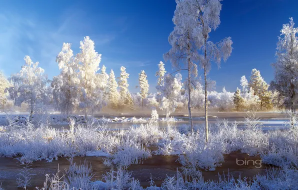 Картинка зима, иней, небо, вода, снег, деревья, пейзаж
