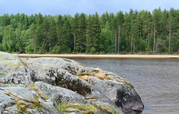 Лес, камни, берег, карелия