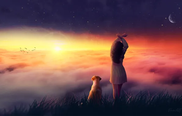Girl, sky, sunset, dog, clouds, birds, mood, friends