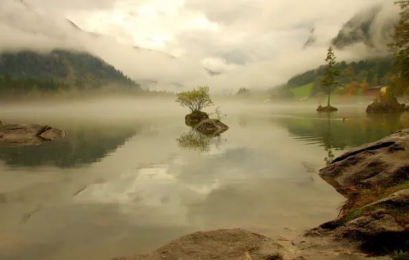 Лес, горы, природа, туман, озеро, дымка, Germany, Bavaria