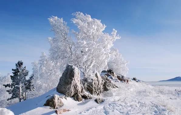 Картинка зима, поле, снег, деревья, камни