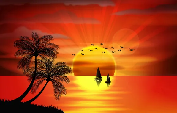 Картинка море, закат, птицы, пальмы, vector, остров, силуэт, sea