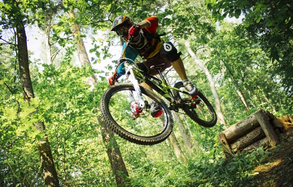 Лес, велосипед, forest, райдер, fox, drop, подвеска, даунхилл