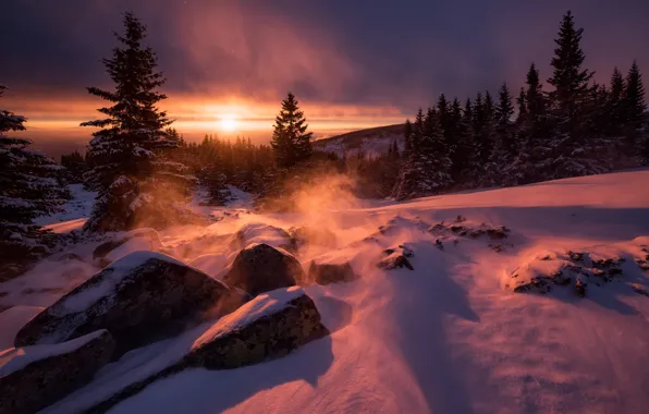 Картинка зима, солнце, свет, снег, деревья, природа, камни