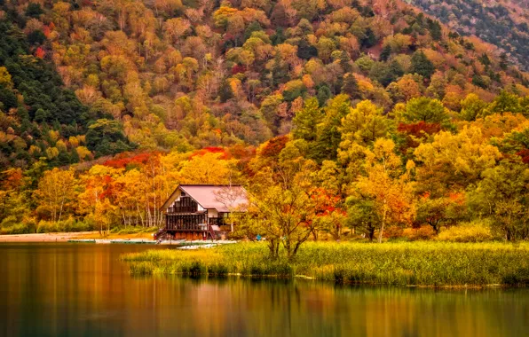 Картинка осень, трава, деревья, горы, дом, река, берег
