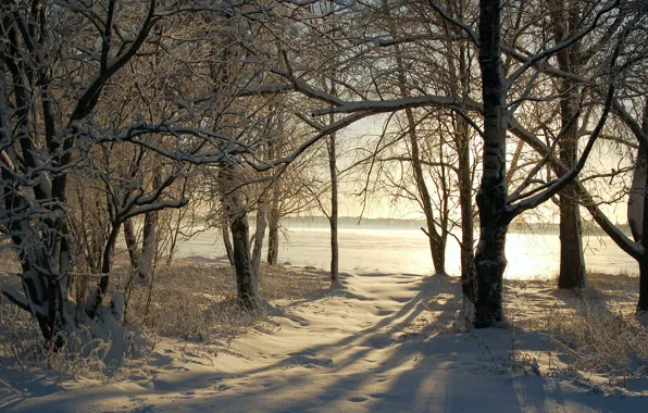 Картинка зима, снег, деревья, природа