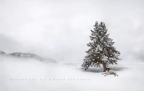 Дерево, игрушки, собака, праздиник, рождественская елка