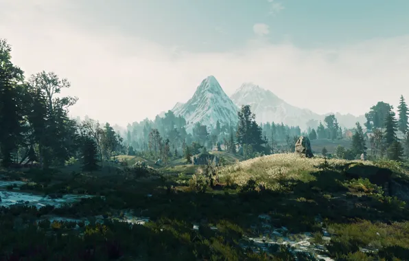 Пейзаж, природа, игра, The Witcher 3