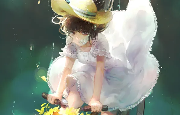 Картинка девушка, цветы, велосипед, пузыри, шляпа, аниме, арт, под водой
