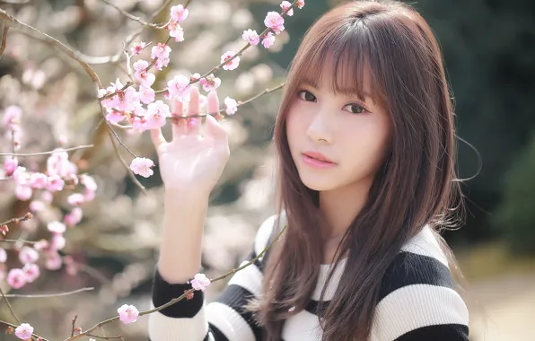 Картинка взгляд, девушка, сакура