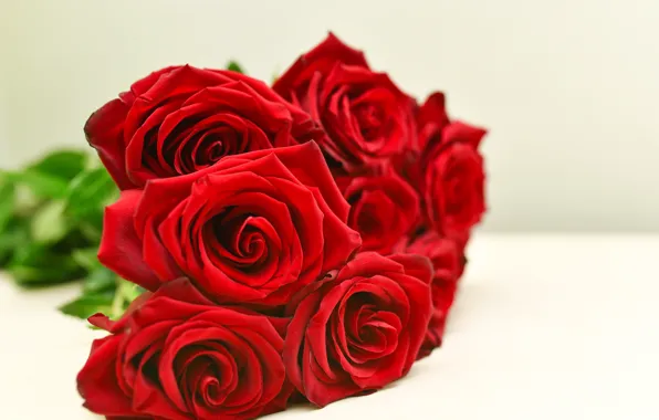 Розы, красные, red, rose, бутоны, bouguet