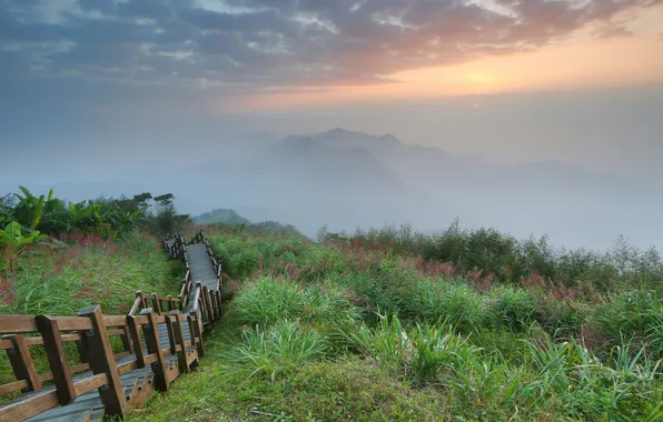 Картинка трава, горы, туман, рассвет, лестница