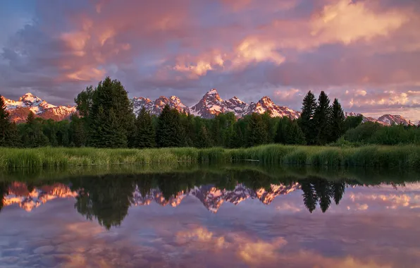 Картинка лето, горы, отражение, утро, США, штат Вайоминг, Национальный парк Гранд-Титон