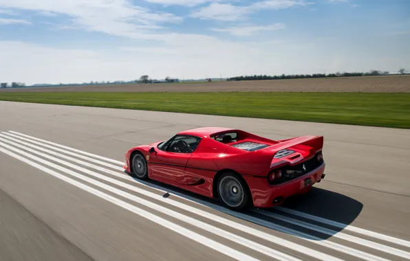 Car, красный, скорость, Ferrari, автомобиль, speed, F50