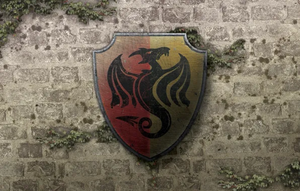 Картинка стена, дракон, герб