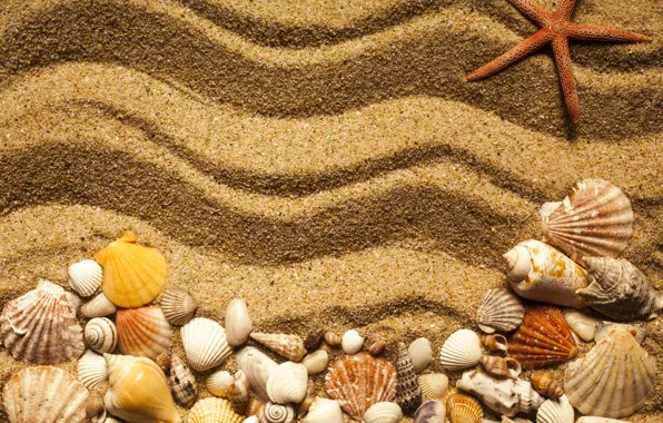 Картинка beach, texture, sand, marine, starfish, seashells, песок ракушки