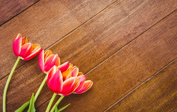 Цветы, тюльпаны, красные, red, wood, flowers, tulips, spring