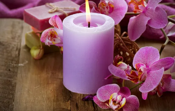 Цветы, свеча, орхидея, flowers, Orchid, candle
