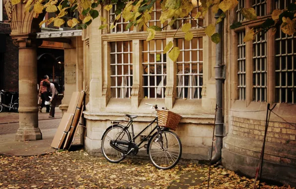 Картинка осень, листья, деревья, природа, велосипед, дом, фон, люди