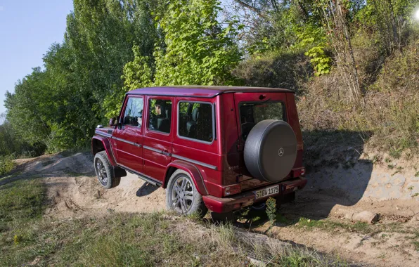 Деревья, Mercedes-Benz, внедорожник, G500, G-Class, 2015, G 500, V8 Biturbo