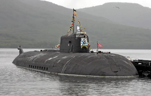 Картинка Россия, подводная лодка, «Вилючинск», «Касатка»