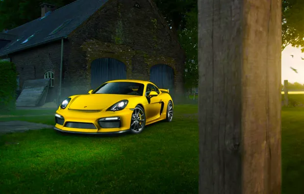 Картинка Porsche, Cayman, Grass, Front, Color, Yellow, Summer, Supercar