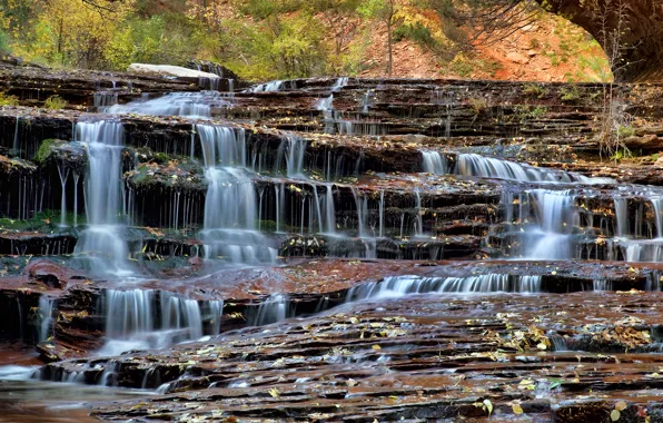 Картинка листья, ручей, скалы, водопад, Zion National Park, сша, юта