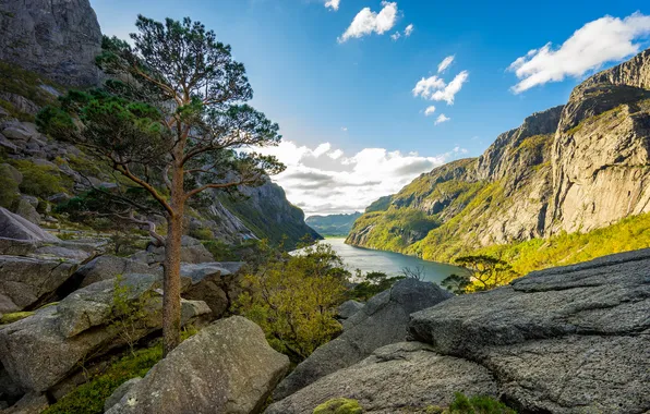 Картинка пейзаж, горы, озеро, дерево, скалы, фьорд