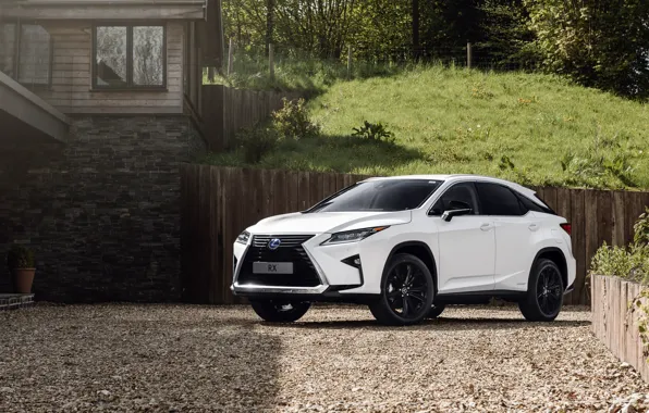 2018, Sport, кроссовер, 450h, Lexus RX